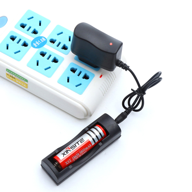 【Cargador inteligente DC 4.2V  - Renewable Energy Sources reseña y precio